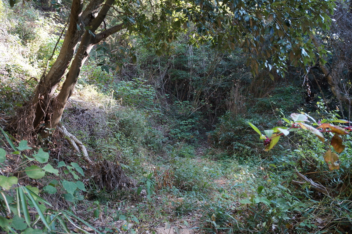 f:id:nayumimahenro:20191118141844j:plain f:id:nayumimahenro:20191118141844j:plain