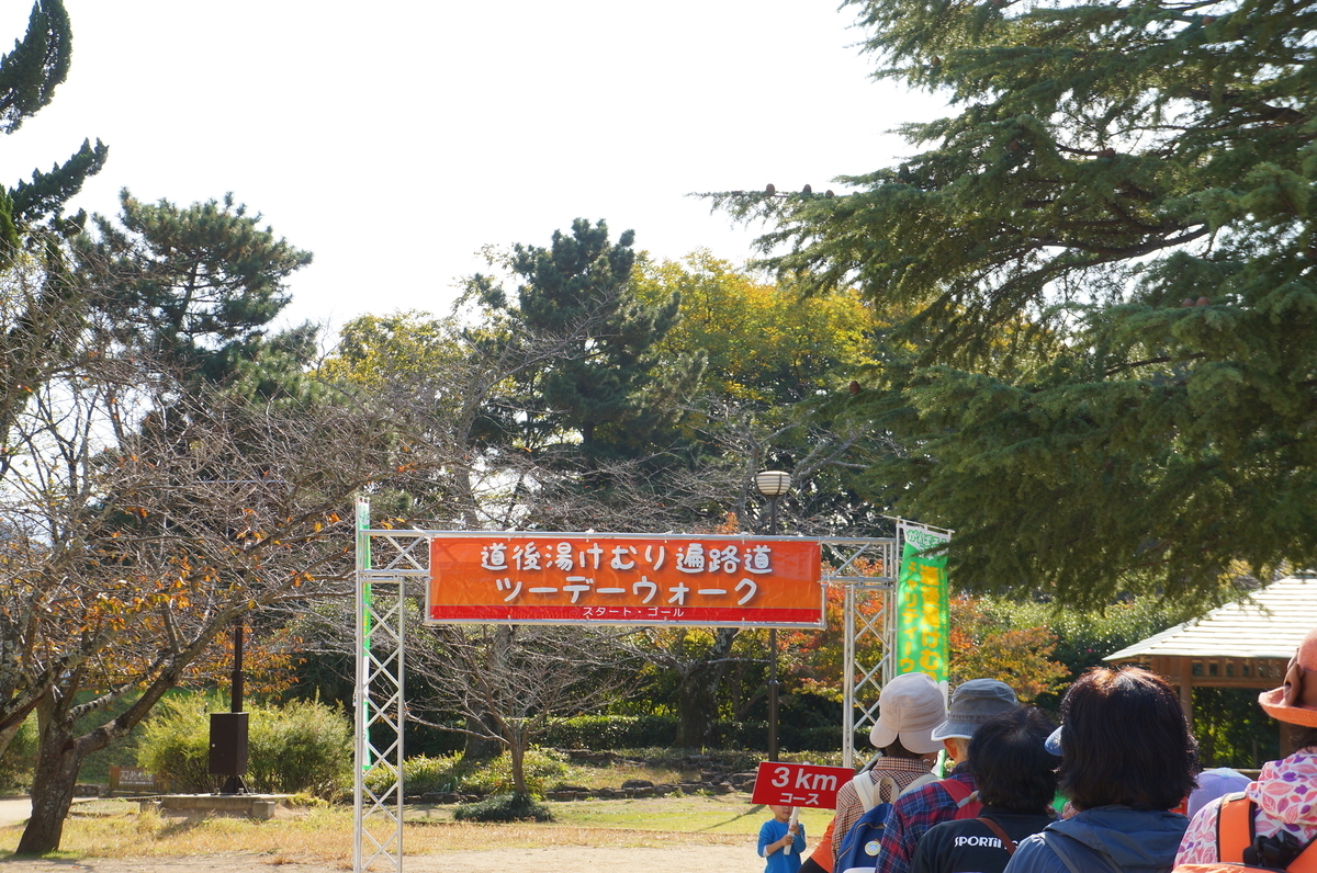 f:id:nayumimahenro:20191122081951j:plain f:id:nayumimahenro:20191122081951j:plain