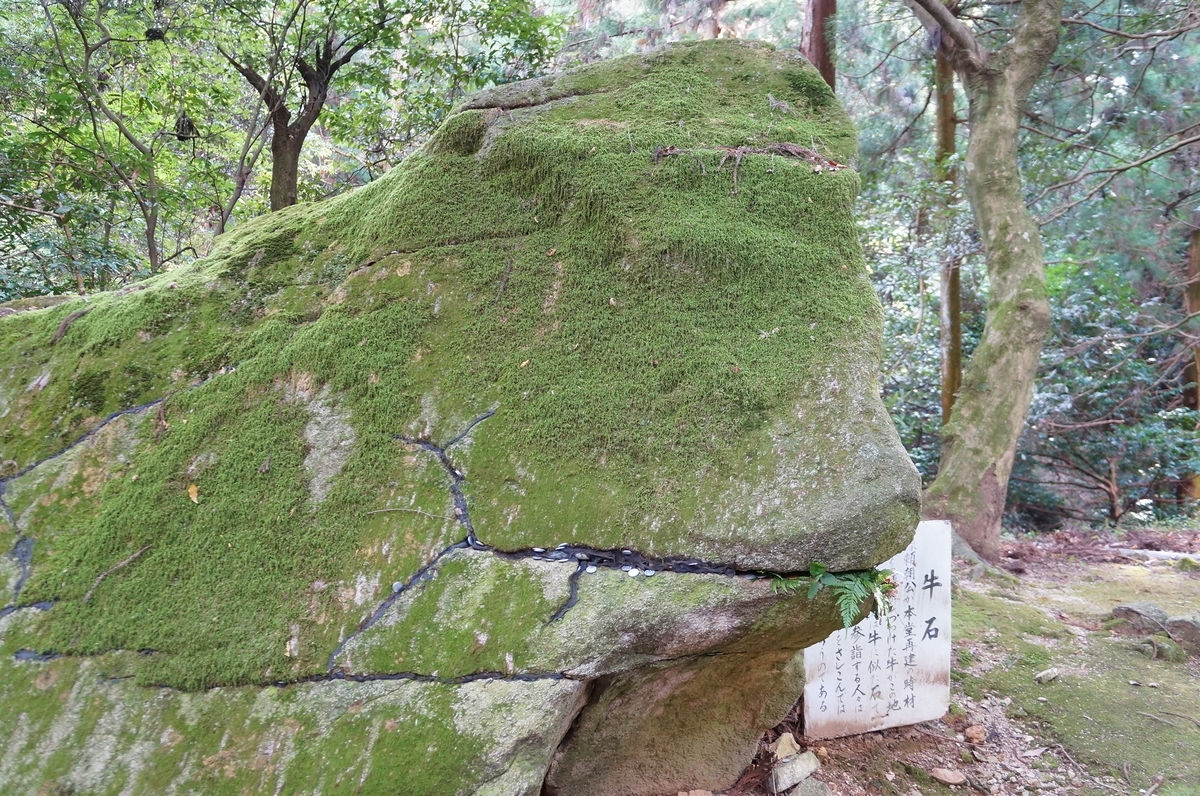 f:id:nayumimahenro:20191122105256j:plain f:id:nayumimahenro:20191122105256j:plain