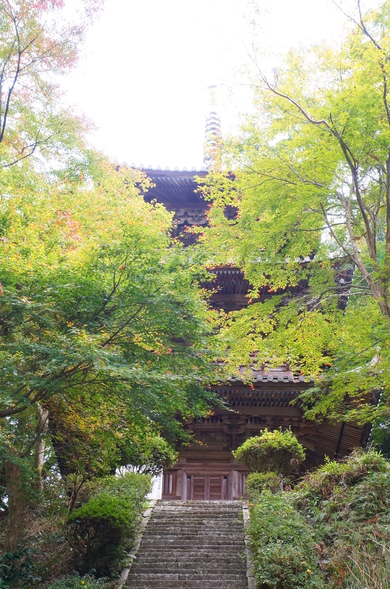 f:id:nayumimahenro:20191122114027j:plain f:id:nayumimahenro:20191122114027j:plain