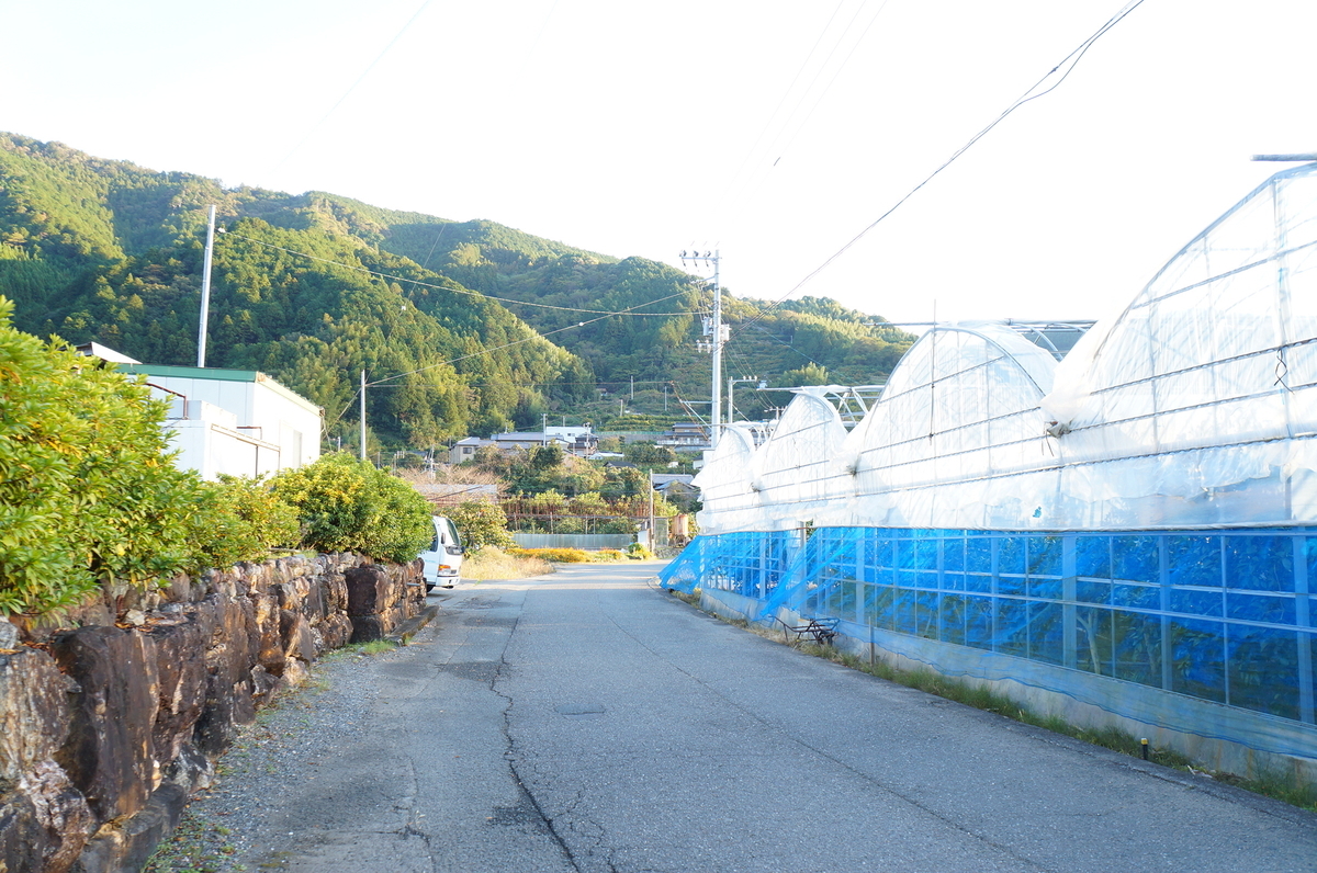 f:id:nayumimahenro:20191123185514j:plain f:id:nayumimahenro:20191123185514j:plain