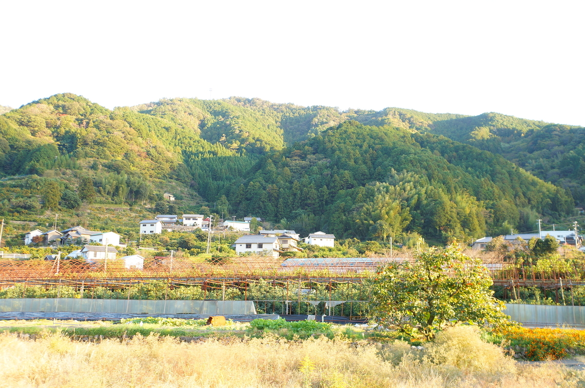 f:id:nayumimahenro:20191123190010j:plain f:id:nayumimahenro:20191123190010j:plain