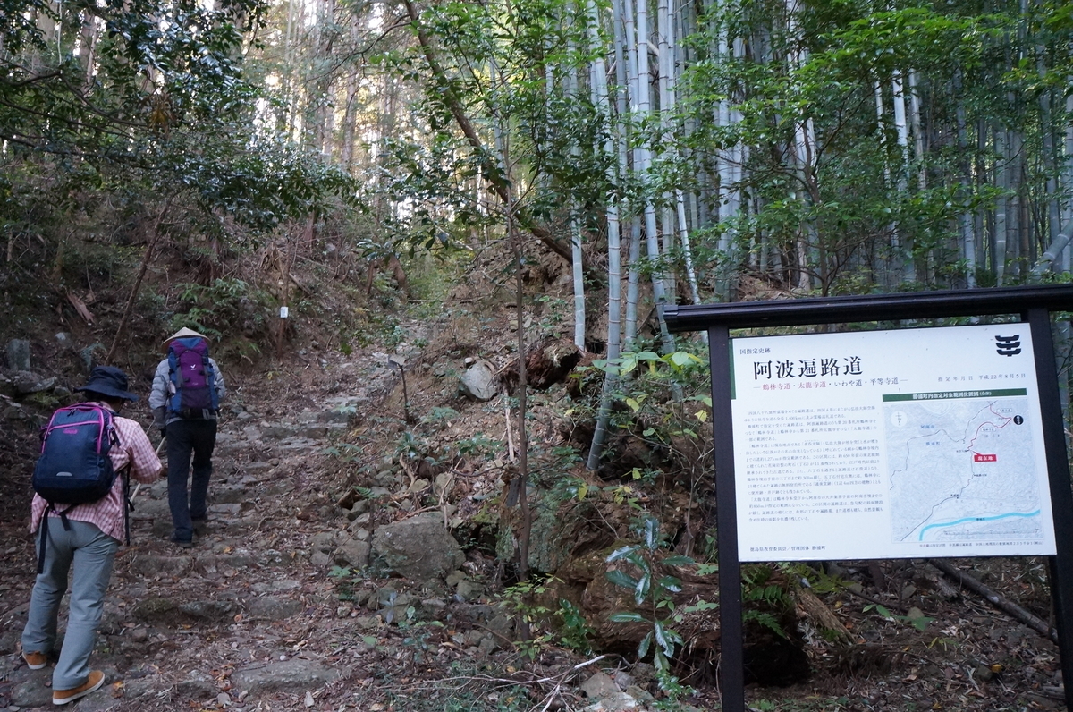 f:id:nayumimahenro:20191125092751j:plain f:id:nayumimahenro:20191125092751j:plain
