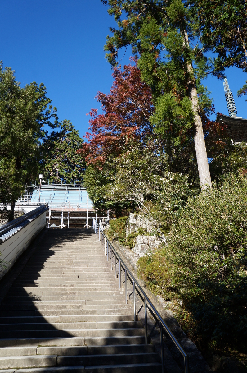 f:id:nayumimahenro:20191125110006j:plain f:id:nayumimahenro:20191125110006j:plain