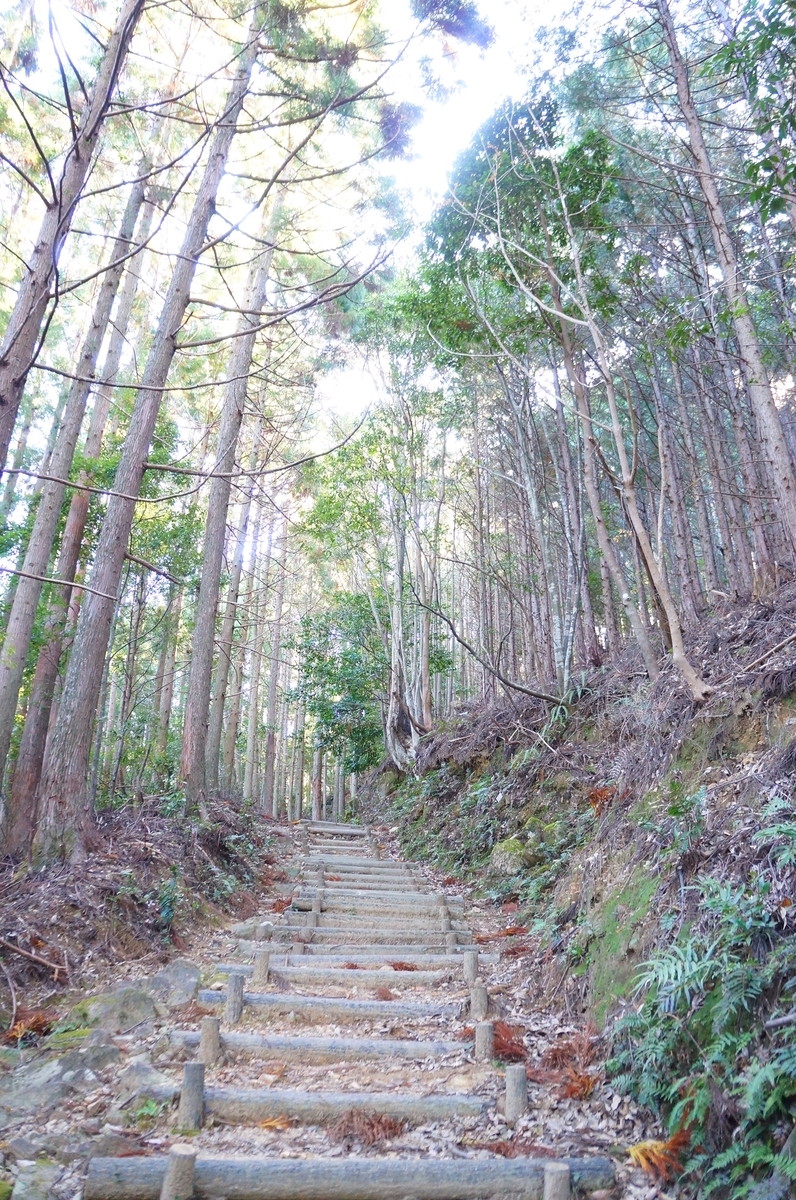 f:id:nayumimahenro:20191125135436j:plain f:id:nayumimahenro:20191125135436j:plain