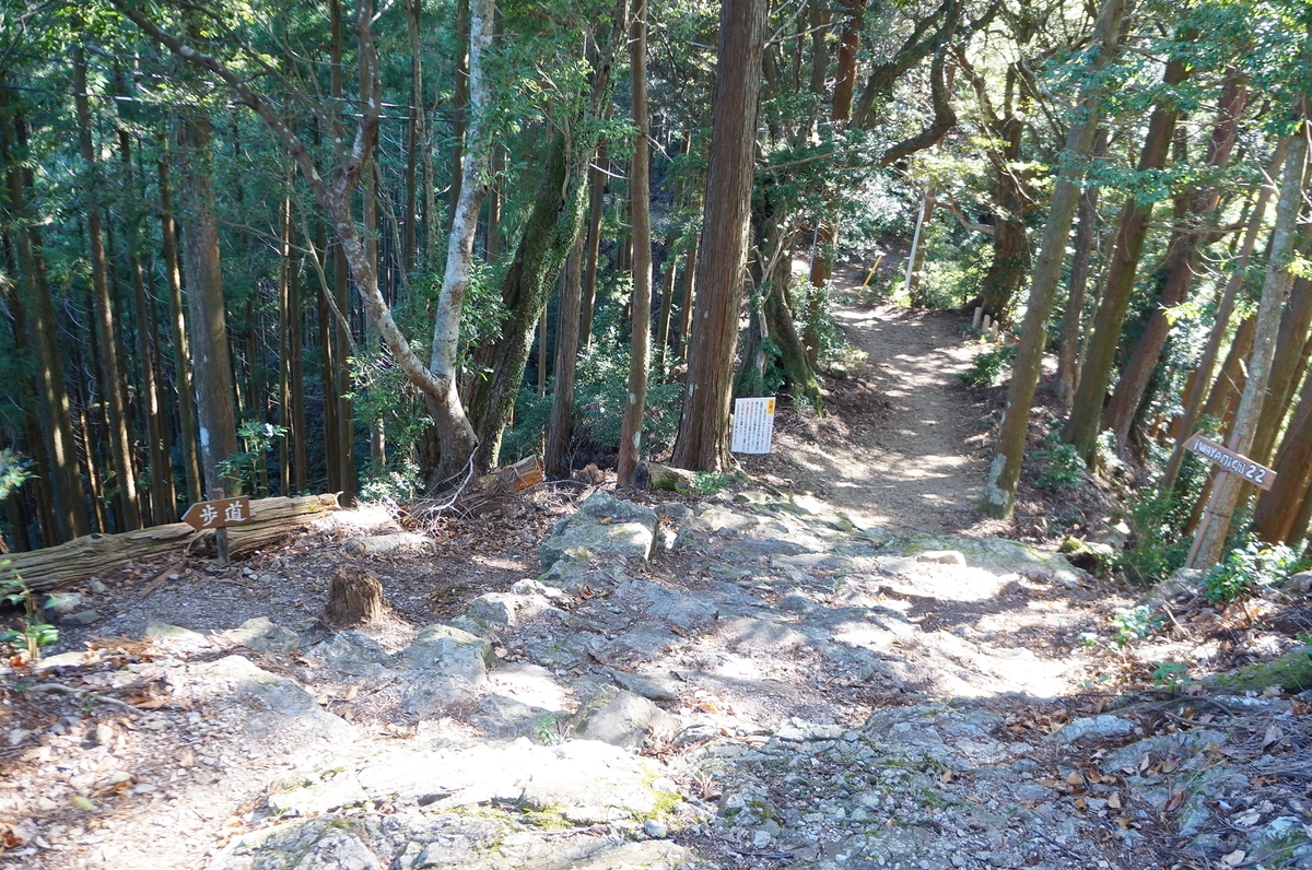 f:id:nayumimahenro:20191204134556j:plain f:id:nayumimahenro:20191204134556j:plain