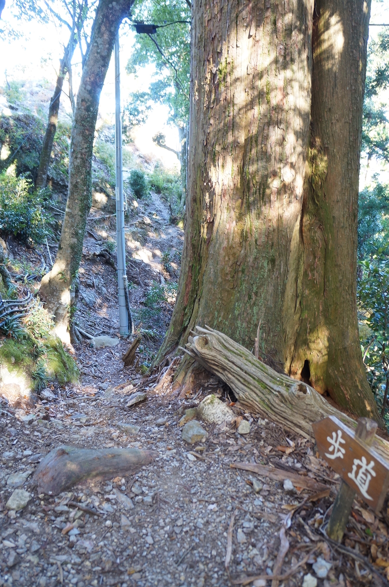 f:id:nayumimahenro:20191204134848j:plain f:id:nayumimahenro:20191204134848j:plain