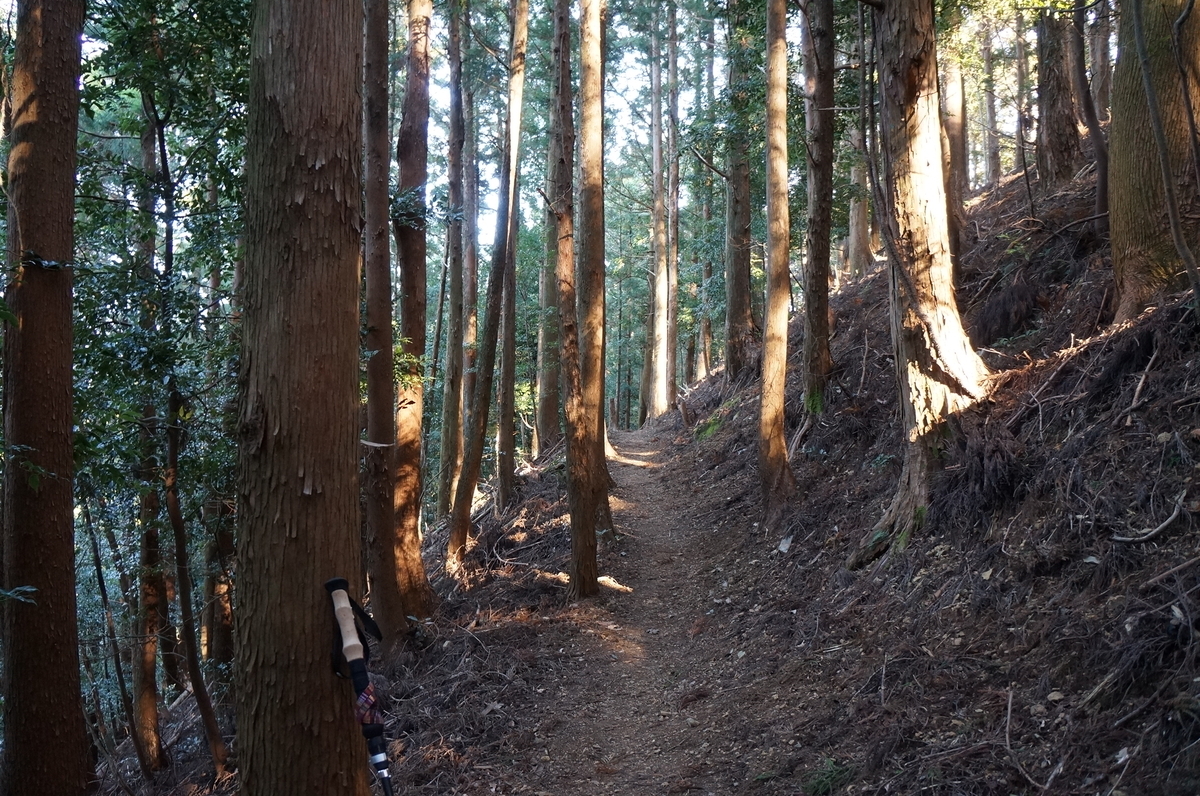 f:id:nayumimahenro:20191204144915j:plain f:id:nayumimahenro:20191204144915j:plain