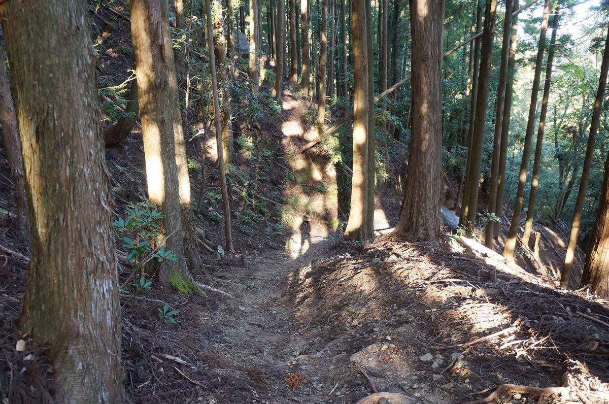 f:id:nayumimahenro:20191204145025j:plain f:id:nayumimahenro:20191204145025j:plain