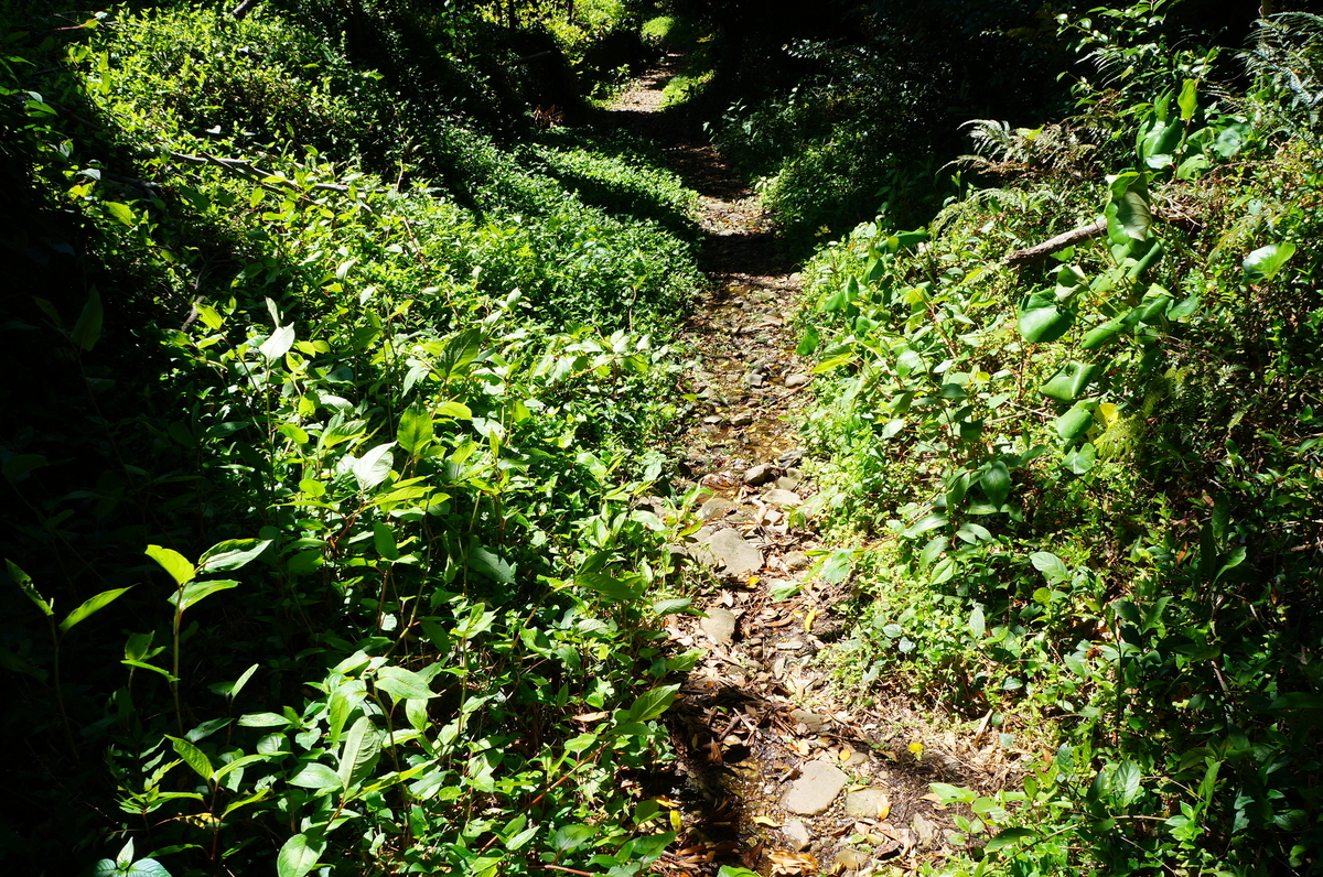 f:id:nayumimahenro:20200423171402j:plain f:id:nayumimahenro:20200423171402j:plain