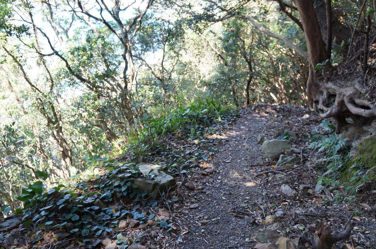 f:id:nayumimahenro:20200423172814j:plain f:id:nayumimahenro:20200423172814j:plain