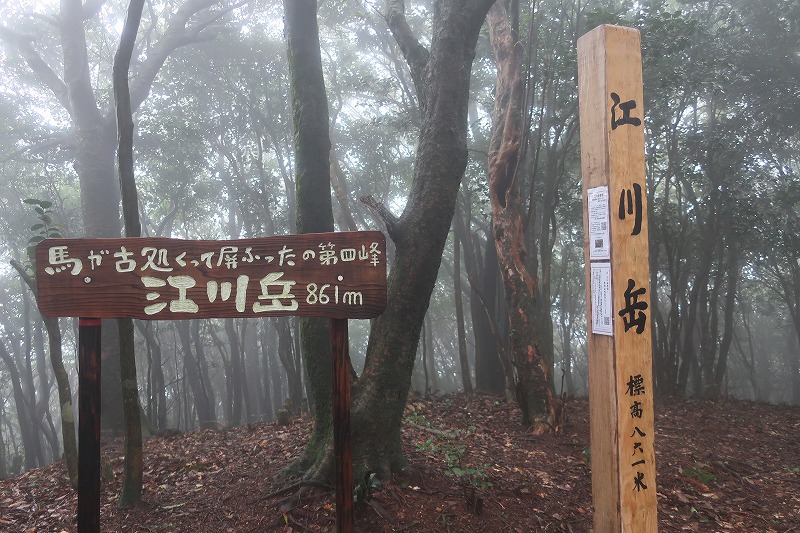 f:id:nayutakun:20191021164805j:plain