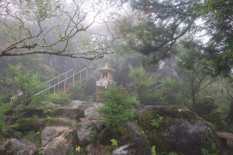 f:id:nayutakun:20191021165509j:plain