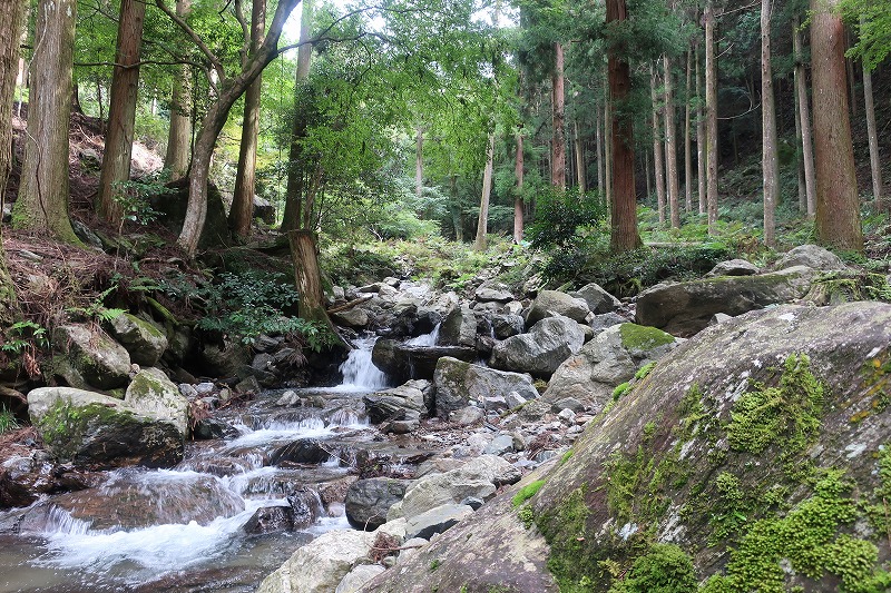 f:id:nayutakun:20191021165857j:plain