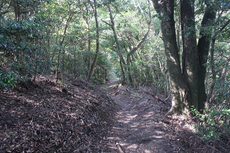 2019年10月27日 九州自然歩道 9日目 白糸の滝～二日市温泉 - とりあえず、歩くか。晴れた日は星空の下で寝るのもいい。