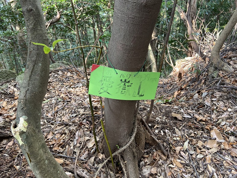 f:id:nayutakun:20200104144135j:plain f:id:nayutakun:20200104144135j:plain