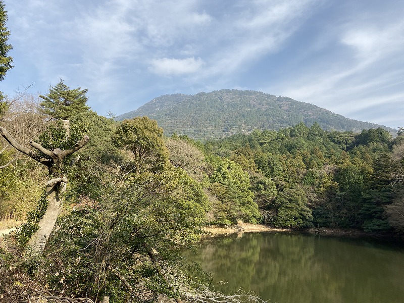 f:id:nayutakun:20200104144628j:plain f:id:nayutakun:20200104144628j:plain