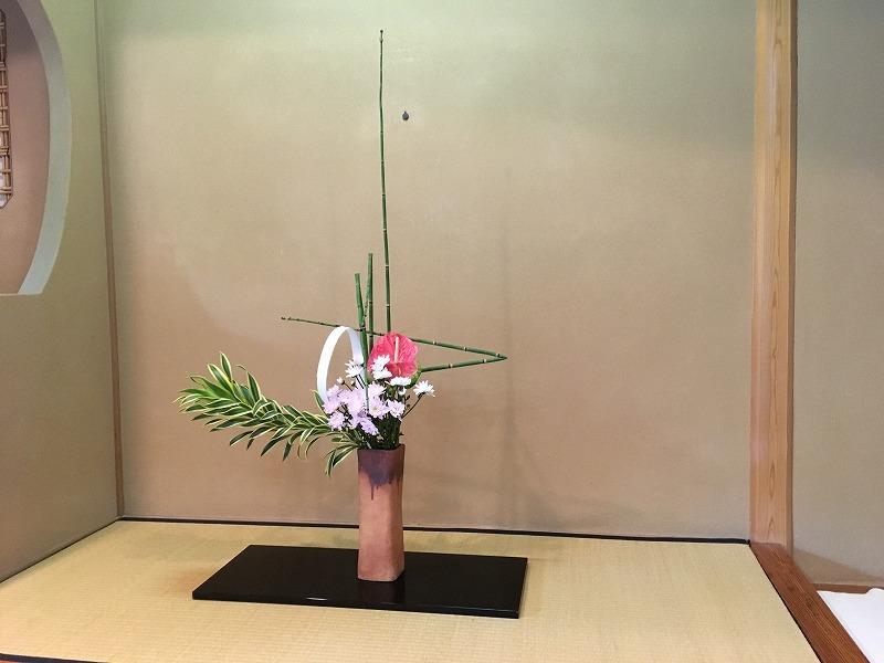 マムシグサ 凶悪そうな名前どおりの有毒植物 とりあえず 歩くか 晴れた日は星空の下で寝るのもいい