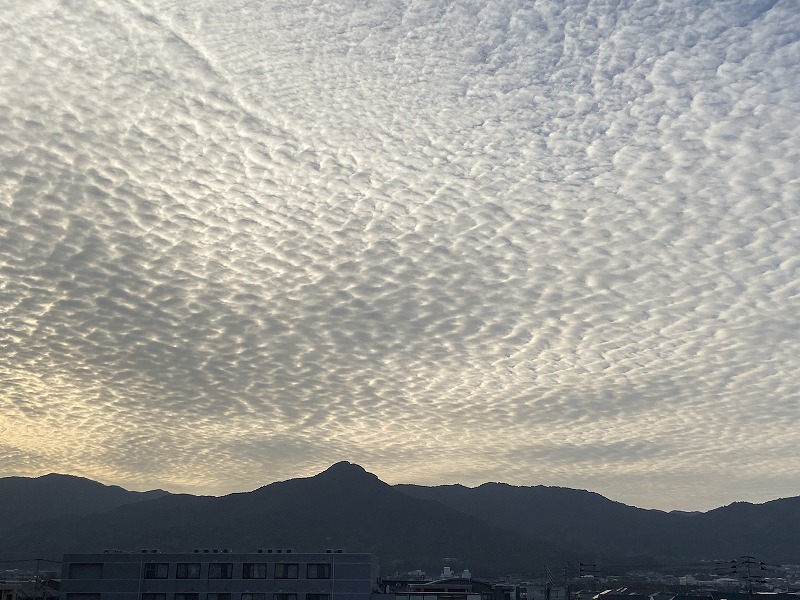 f:id:nayutakun:20200111200405j:plain