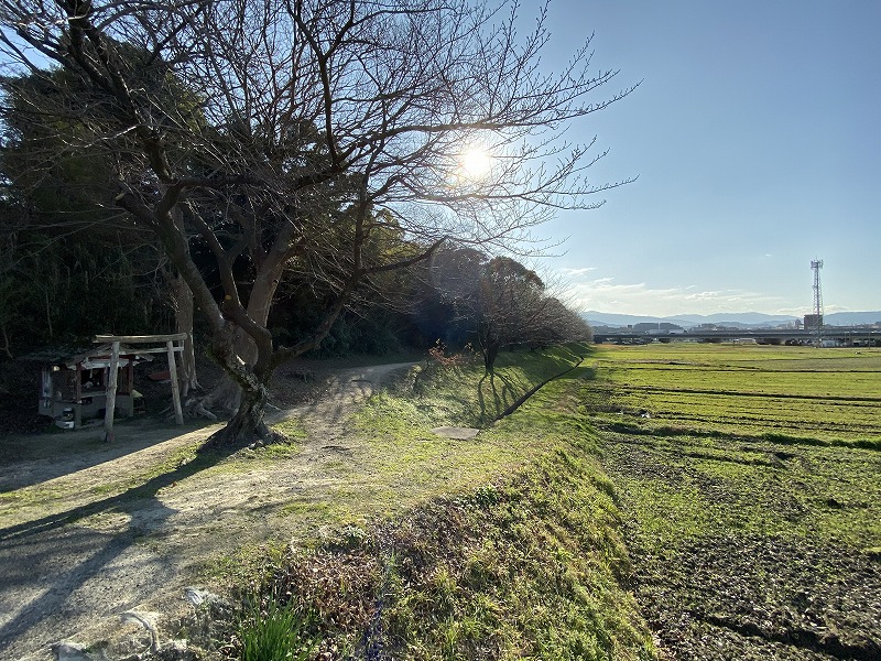 f:id:nayutakun:20200111200729j:plain