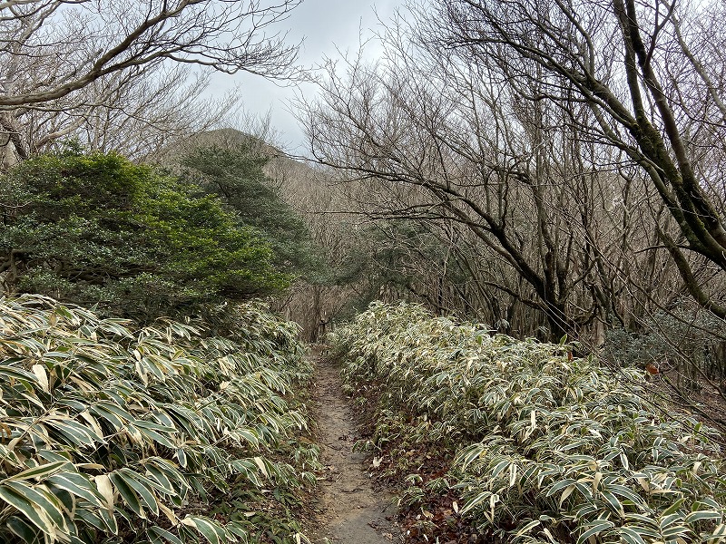 f:id:nayutakun:20200202005405j:plain f:id:nayutakun:20200202005405j:plain