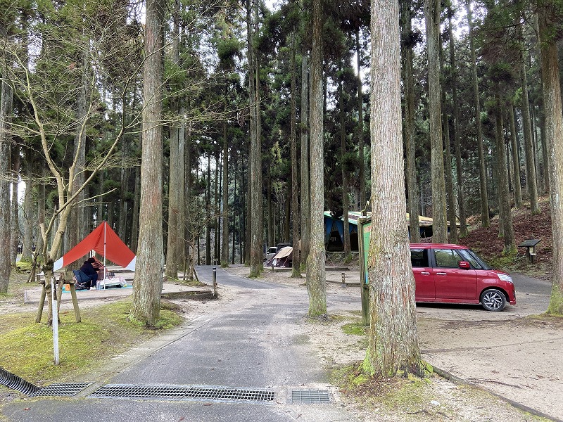 f:id:nayutakun:20200202130425j:plain f:id:nayutakun:20200202130425j:plain
