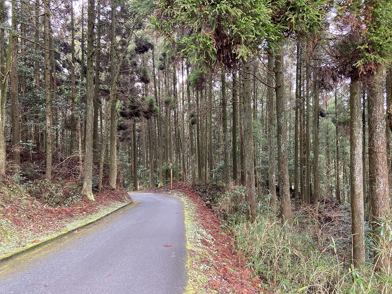f:id:nayutakun:20200202130444j:plain f:id:nayutakun:20200202130444j:plain