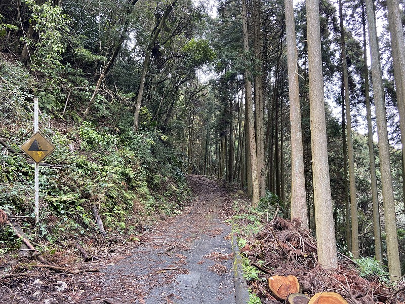 f:id:nayutakun:20200202130715j:plain f:id:nayutakun:20200202130715j:plain