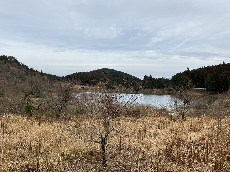 f:id:nayutakun:20200203003637j:plain f:id:nayutakun:20200203003637j:plain