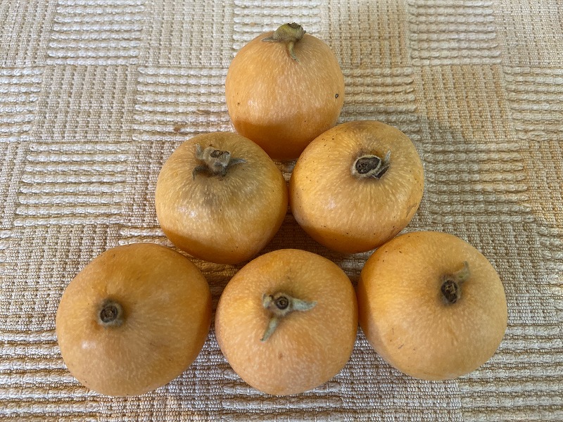 おうちで食べよう その12 びわゼリー とりあえず 歩くか 晴れた日は星空の下で寝るのもいい