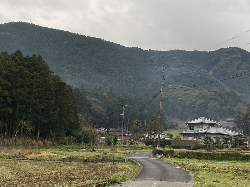 f:id:nayutakun:20200706174024j:plain