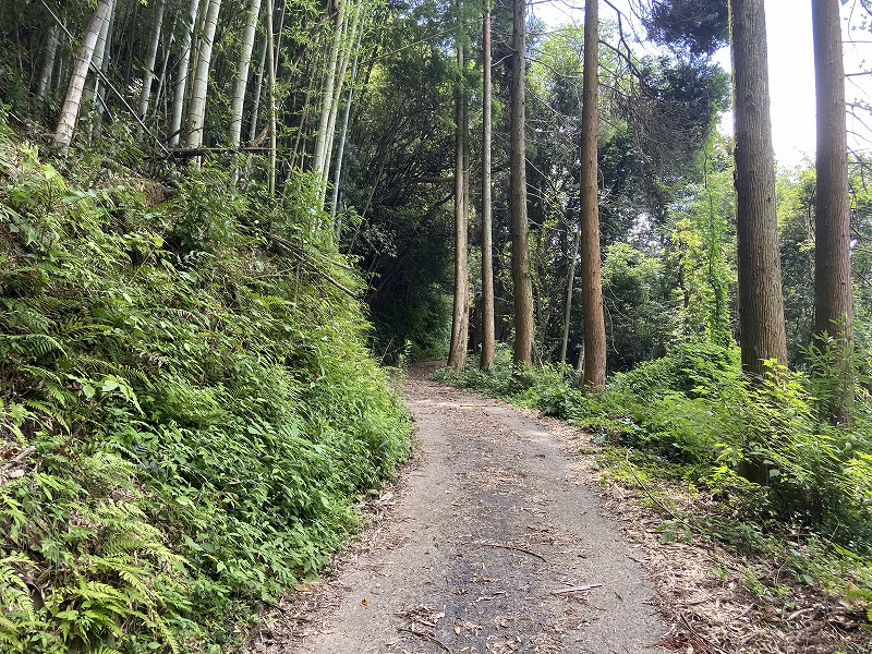 九州自然歩道 39日目 宇土半島をのんびり縦断 熊本県宇城市三角町石打ダム駅~宇土市本町 2020年8月8日 - 九州自然歩道を週末に歩き倒す