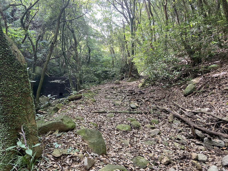 2020年8月9日 九州自然歩道 40日目 熊本県宇土市本町~熊本市西区岩戸観音 - とりあえず、歩くか。晴れた日は星空の下で寝るのもいい。