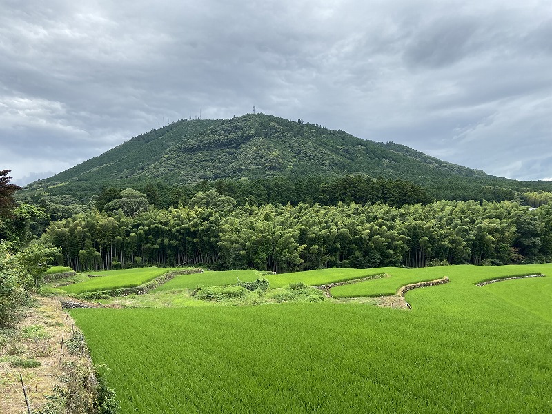 九州自然歩道 40日目 金峰山を登りながらこう考えた。とかく人の世は住みにくい。 熊本県宇土市本町~熊本市西区岩戸観音 2020年8月9日 ...