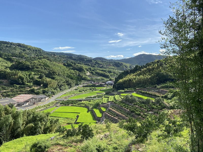 2020年8月10日 九州自然歩道 41日目 熊本市西区岩戸観音～熊本市北区植木町田原坂駅 - とりあえず、歩くか。晴れた日は星空の下で寝るのもいい。