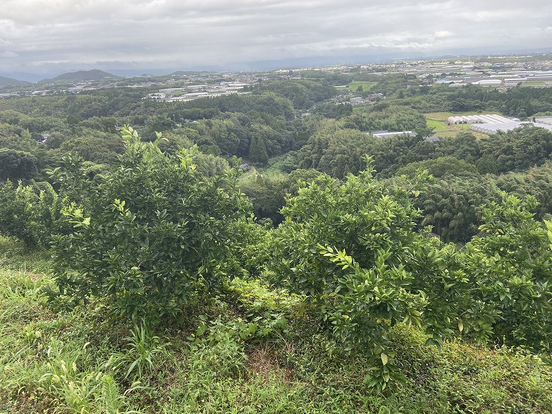 2020年8月10日 九州自然歩道 41日目 熊本市西区岩戸観音~熊本市北区植木町田原坂駅 - とりあえず、歩くか。晴れた日は星空の下で寝るのもいい。