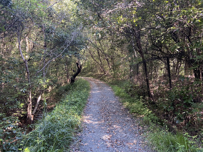九州自然歩道 43日目 思いのほか素敵な町だった玉名から山を越える 熊本県玉名市立願寺～和水町菊水 2020年8月16日 - 九州自然歩道を ...