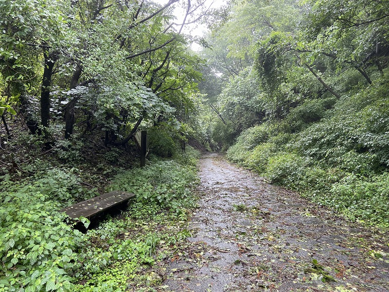 2020年9月12日 九州自然歩道 48日目 熊本県阿蘇市阿蘇駅~阿蘇郡高森町高森中央 - とりあえず、歩くか。晴れた日は星空の下で寝るのもいい。