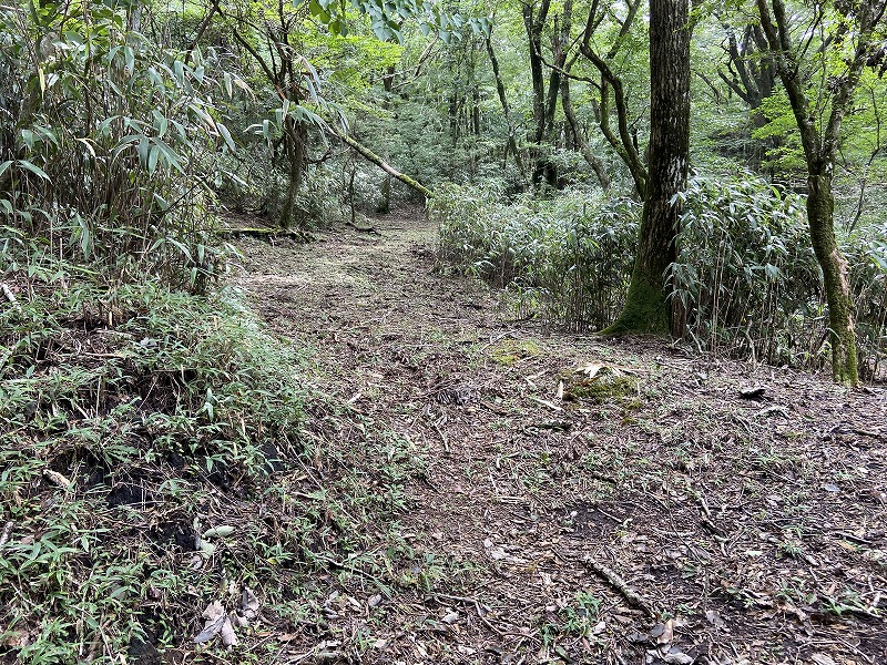 九州自然歩道 50日目 黄金色の収穫の秋 熊本県阿蘇郡高森町清水峠～山都町笹原 2020年9月20日 - 九州自然歩道を週末に歩き倒す