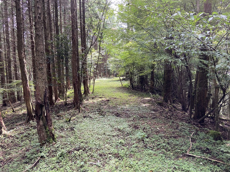 九州自然歩道 50日目 黄金色の収穫の秋 熊本県阿蘇郡高森町清水峠～山都町笹原 2020年9月20日 - 九州自然歩道を週末に歩き倒す