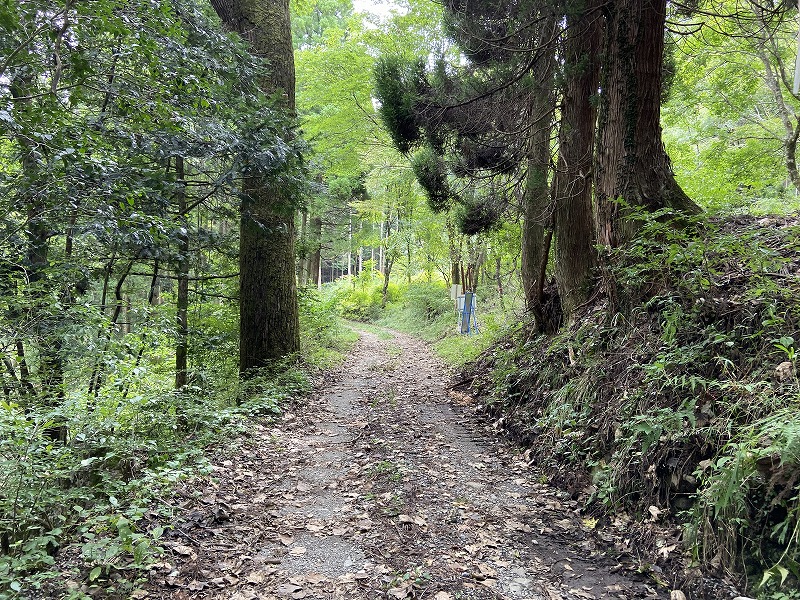 九州自然歩道 50日目 黄金色の収穫の秋 熊本県阿蘇郡高森町清水峠～山都町笹原 2020年9月20日 - 九州自然歩道を週末に歩き倒す