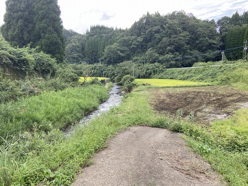 九州自然歩道 50日目 黄金色の収穫の秋 熊本県阿蘇郡高森町清水峠～山都町笹原 2020年9月20日 - 九州自然歩道を週末に歩き倒す