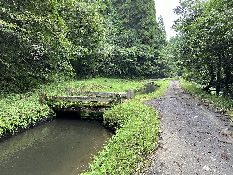 九州自然歩道 50日目 黄金色の収穫の秋 熊本県阿蘇郡高森町清水峠～山都町笹原 2020年9月20日 - 九州自然歩道を週末に歩き倒す