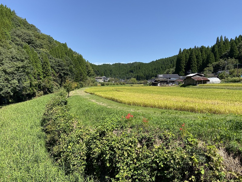 九州自然歩道 51日目 通潤橋から豊穣の地を歩く 熊本県上益城郡山都町笹原～山都町内大臣峡 2020年9月21日 - 九州自然歩道を週末に歩き倒す