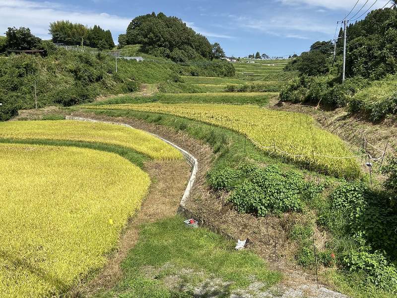 九州自然歩道 51日目 通潤橋から豊穣の地を歩く 熊本県上益城郡山都町笹原～山都町内大臣峡 2020年9月21日 - 九州自然歩道を週末に歩き倒す