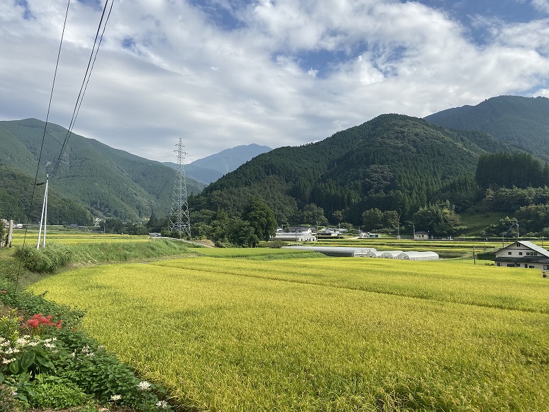 九州自然歩道 52日目 平家由来の内大臣峡から町に下る 熊本県上益城郡山都町内大臣峡~下益城郡美里町砥用 2020年9月22日 - 九州自然 ...