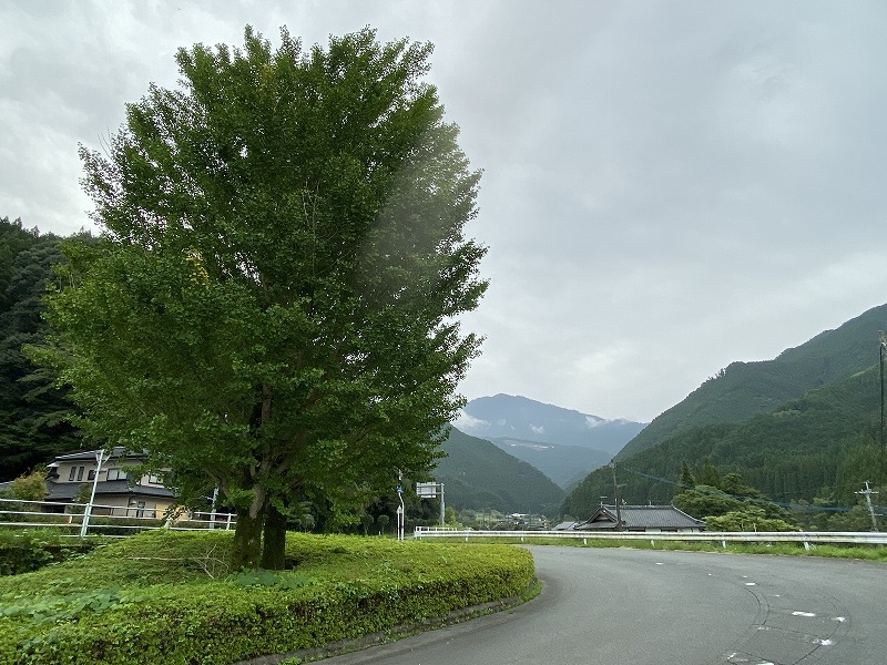 2020年9月26日 九州自然歩道 53日目 熊本県下益城郡美里町砥用~八代市五家荘 九州最後の秘境を歩く - とりあえず、歩くか。晴れた日は ...