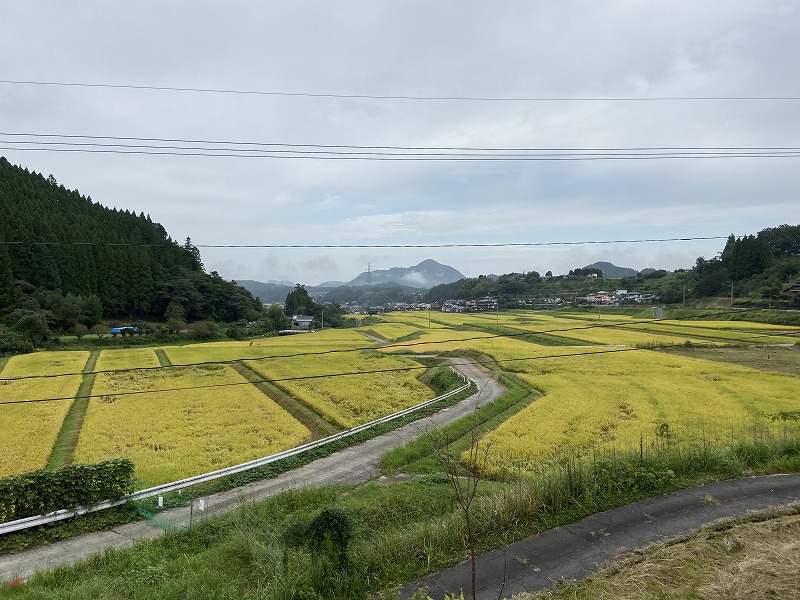 九州自然歩道 53日目 九州最後の秘境を歩く 熊本県下益城郡美里町砥用～八代市五家荘 2020年9月26日 - 九州自然歩道を週末に歩き倒す