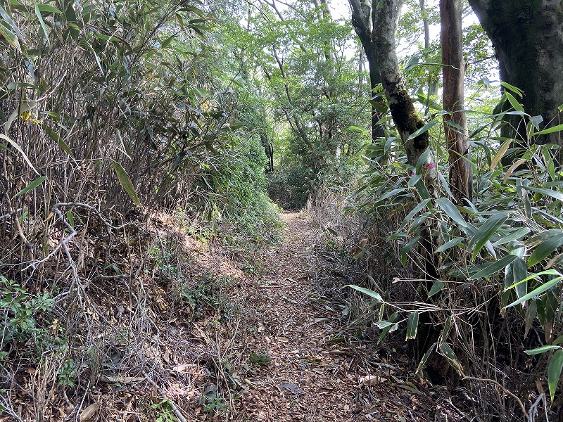 九州自然歩道 53日目 九州最後の秘境を歩く 熊本県下益城郡美里町砥用～八代市五家荘 2020年9月26日 - 九州自然歩道を週末に歩き倒す