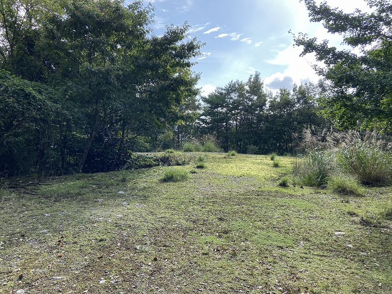 九州自然歩道 53日目 九州最後の秘境を歩く 熊本県下益城郡美里町砥用~八代市五家荘 2020年9月26日 - 九州自然歩道を週末に歩き倒す